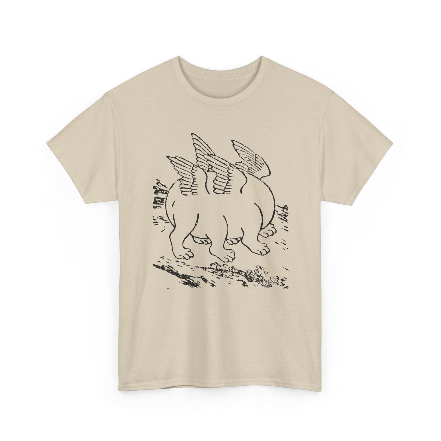 1897 primordial egg chinese emblem of the ten powers illustration tshirt