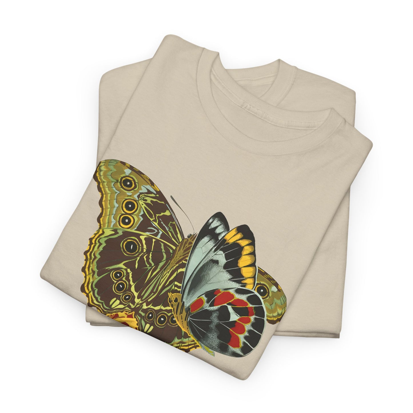 1925 papillons butterfly illustration by emile allain seguy tshirt