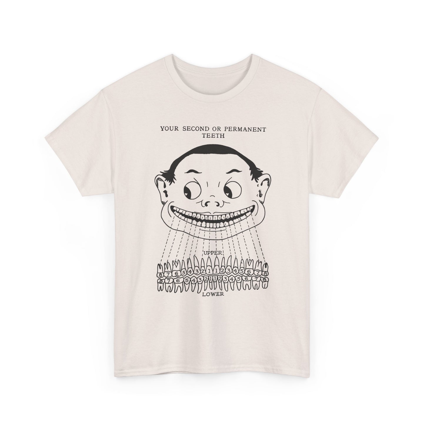 1918 illustration from child's book of teeth kid with teeth chart tshirt