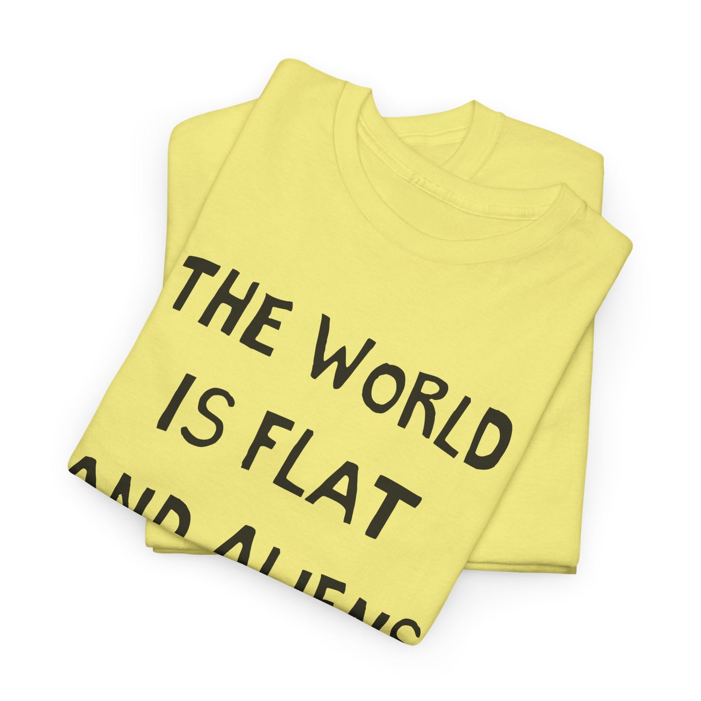 the world is flat and aliens are real hand drawn font tshirt