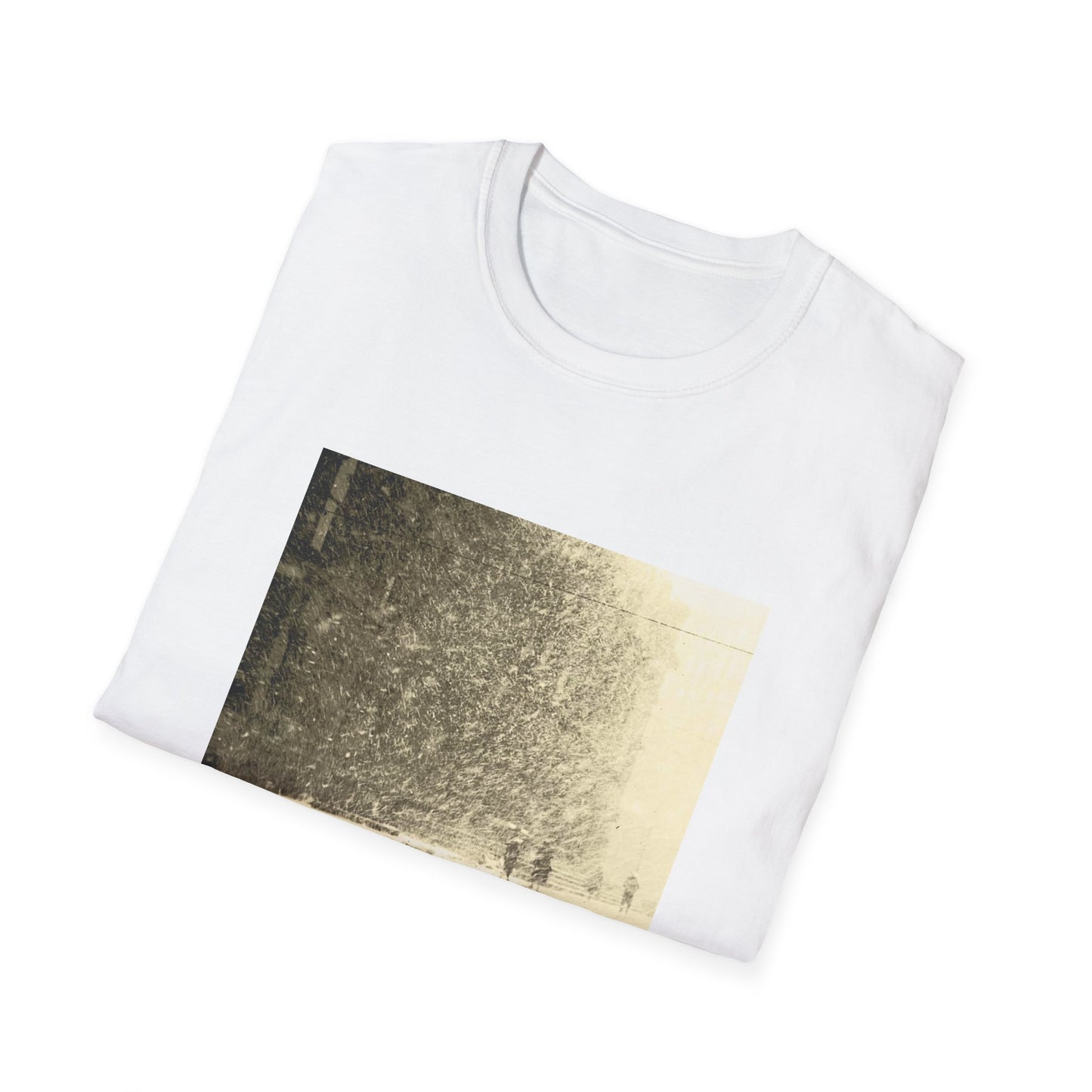 women 2010 public strain album tshirt