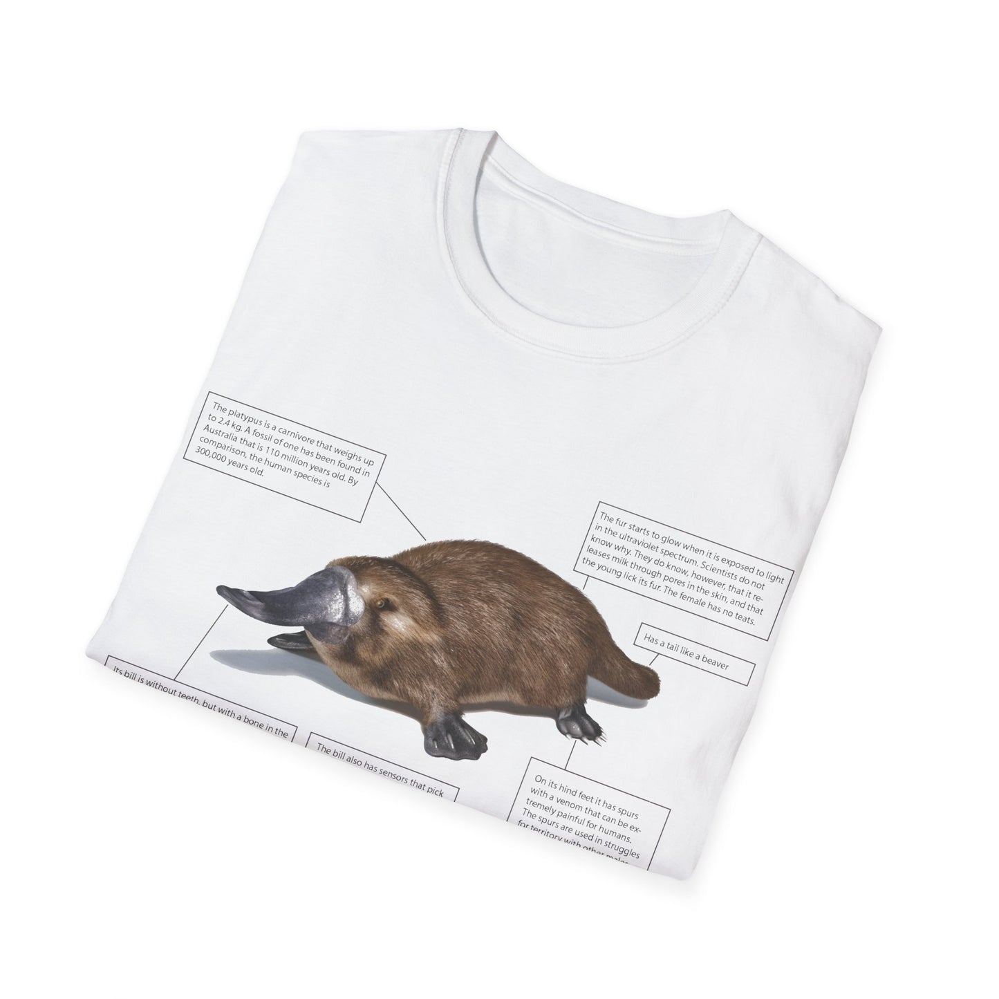 pleasant platypus facts tshirt