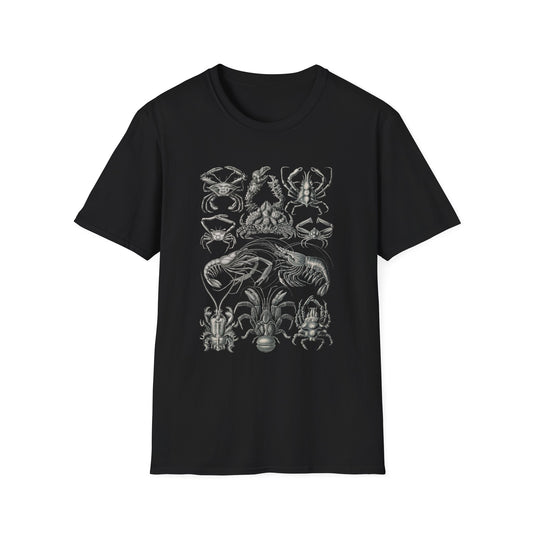 1904 crustacean (decapoda) lithograph by adolf giltsch after sketch by ernst haeckel from art forms of nature tshirt