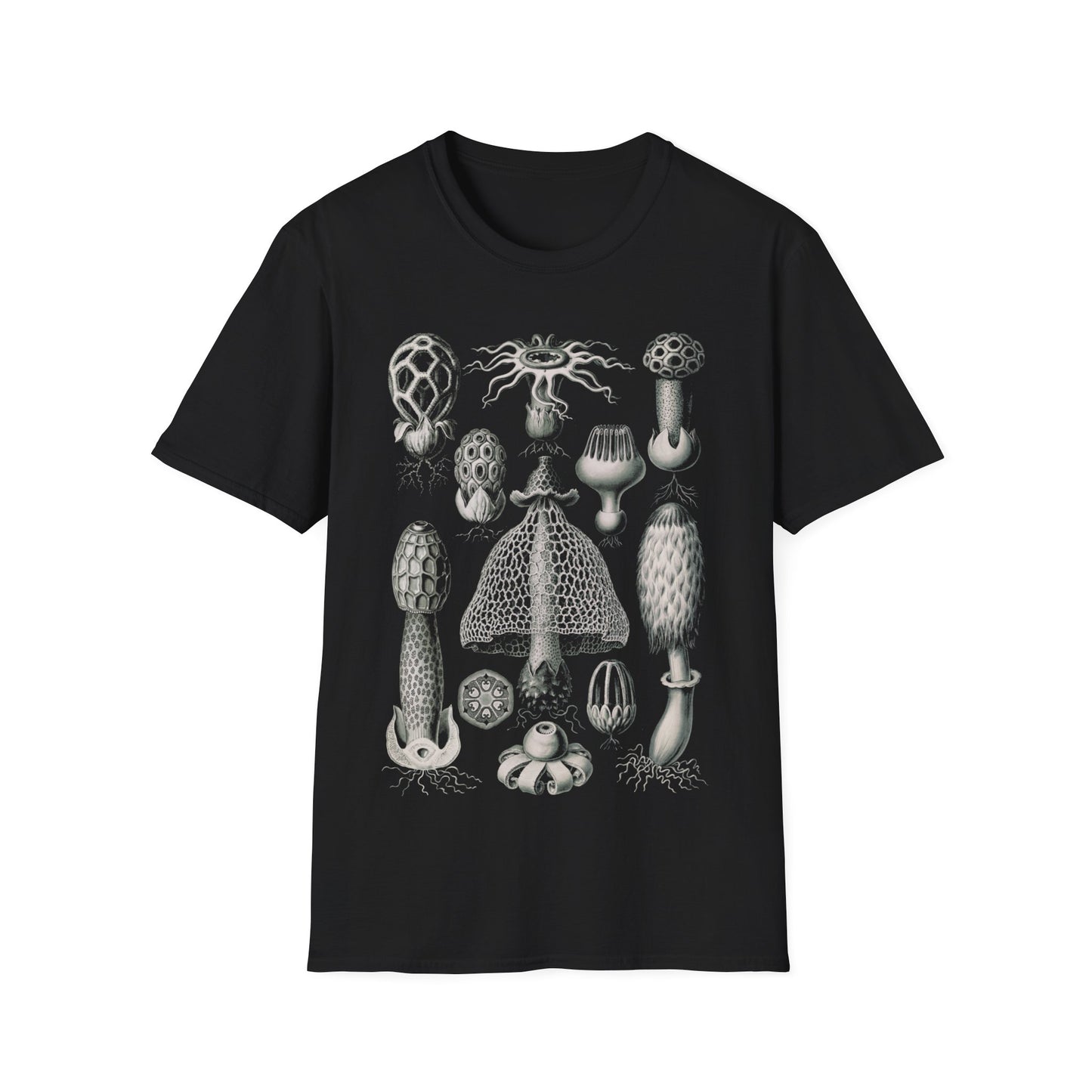 1904 Basimycetes (schwammpilze) STINKHORN MUSHROOMS print by adolf giltsch after sketch by ernst haeckel tshirt