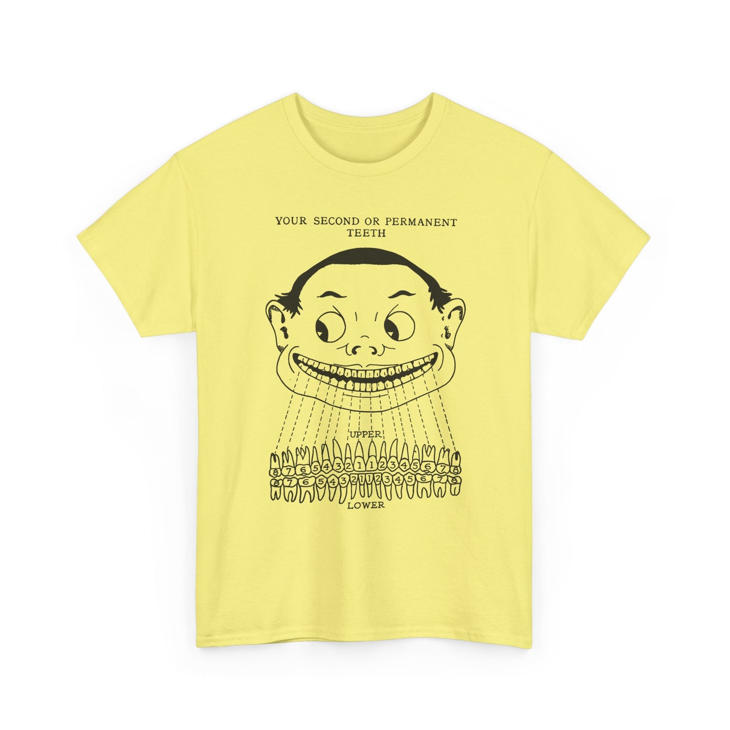1918 illustration from child's book of teeth kid with teeth chart tshirt