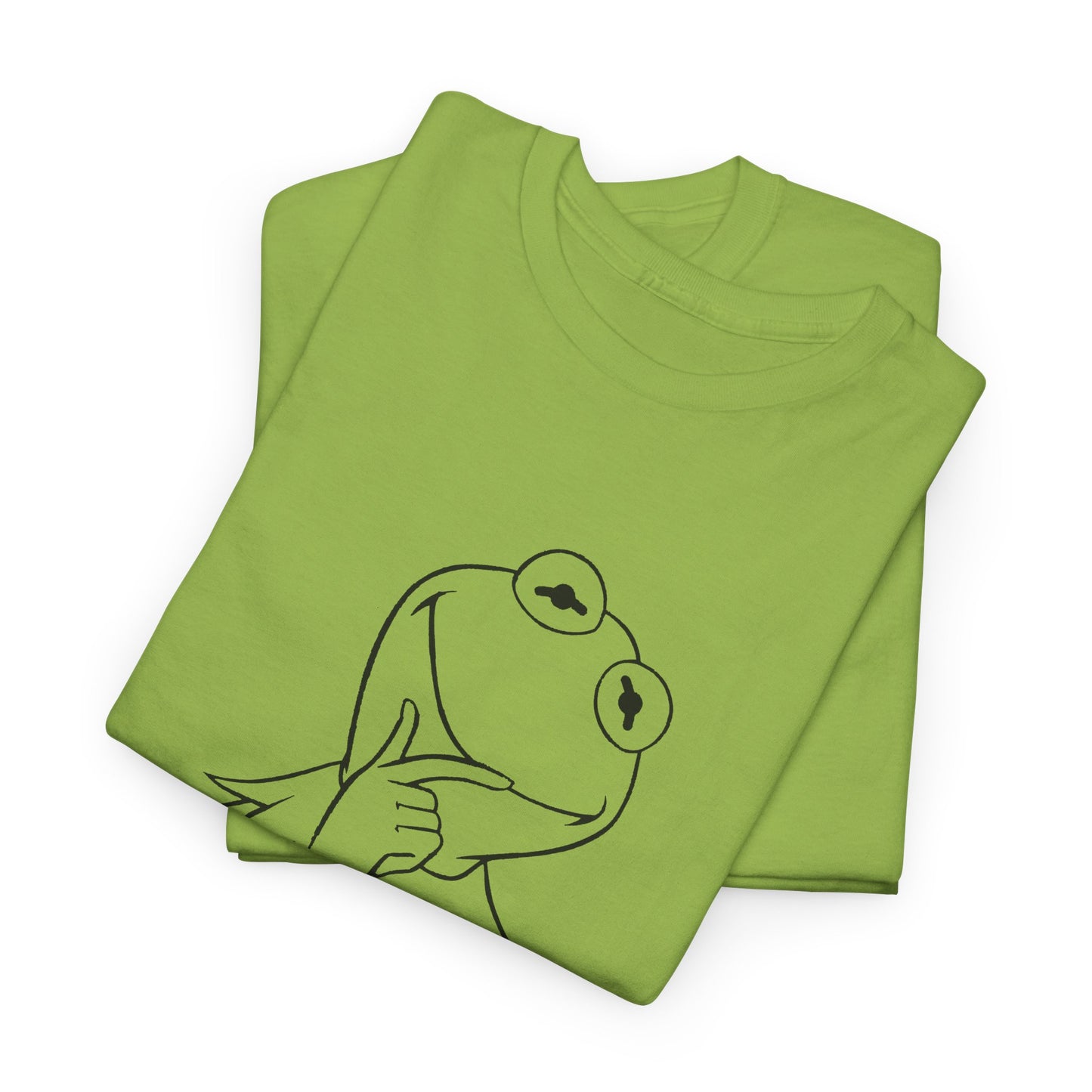 slightly judgey kermie tshirt