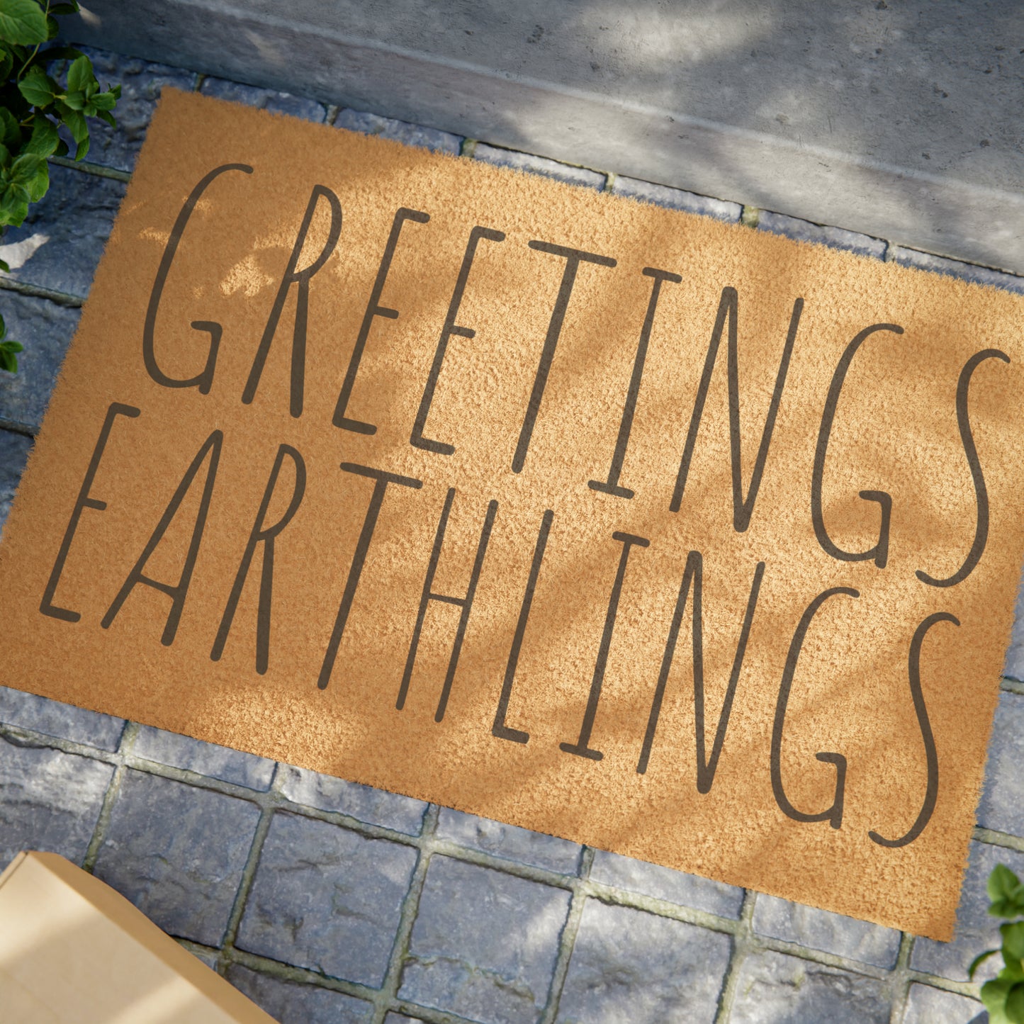 greetings earthlings doormat whatmart